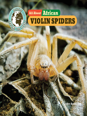 cover image of All About African Violin Spiders